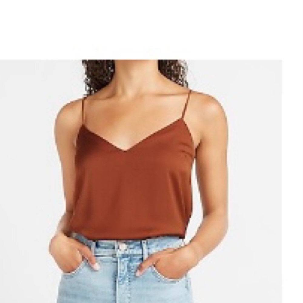 Express Burnt Sienna Satin V-Neck Cami